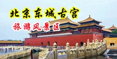 越南美女自慰中国北京-东城古宫旅游风景区